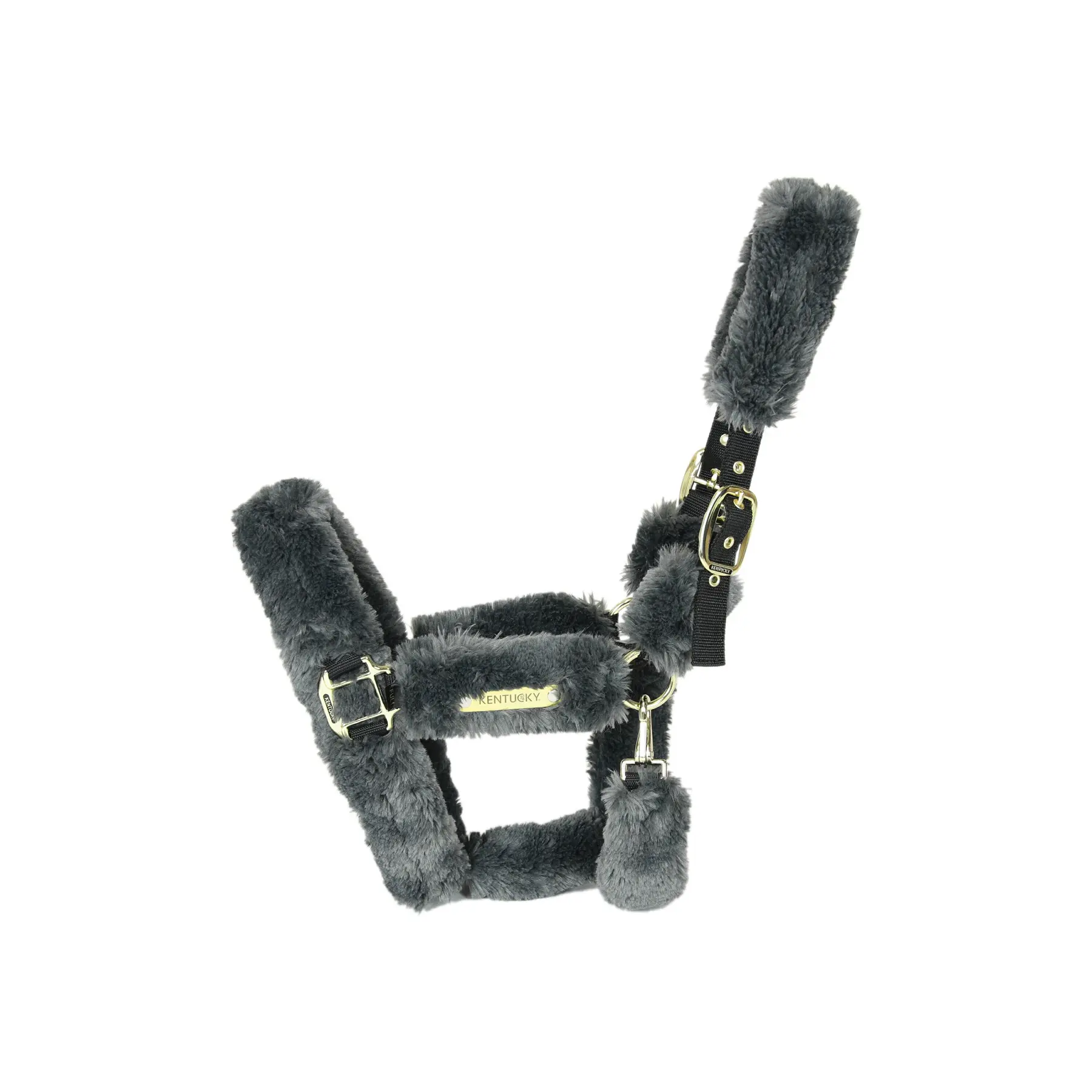 Sheep halter Kentucky