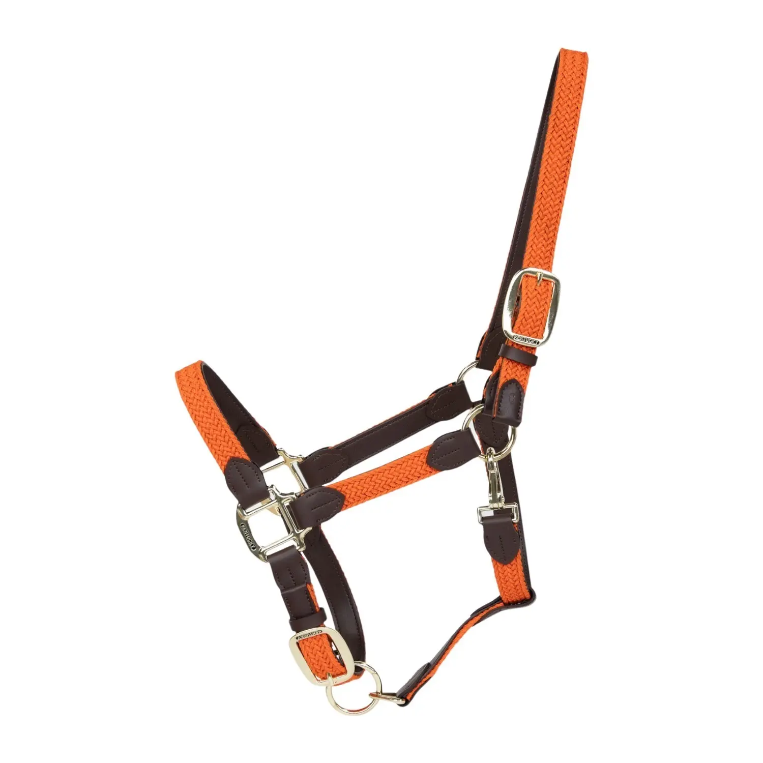 Kentucky Horsewear - Halfter - Nylon - Orange - Cob - Bild 2
