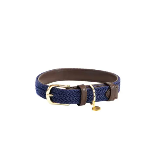 Braided nylon dog collar Kentucky