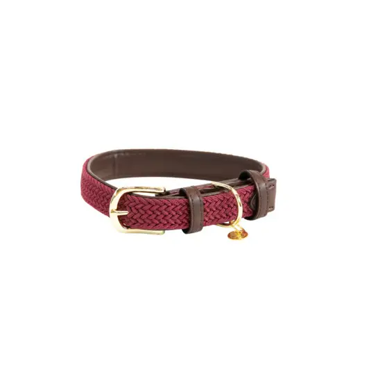 Braided nylon dog collar Kentucky