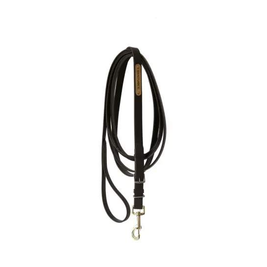 Presentation Horse Lead Rope Kentucky