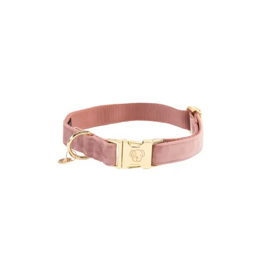 Dog collar Kentucky Velvet