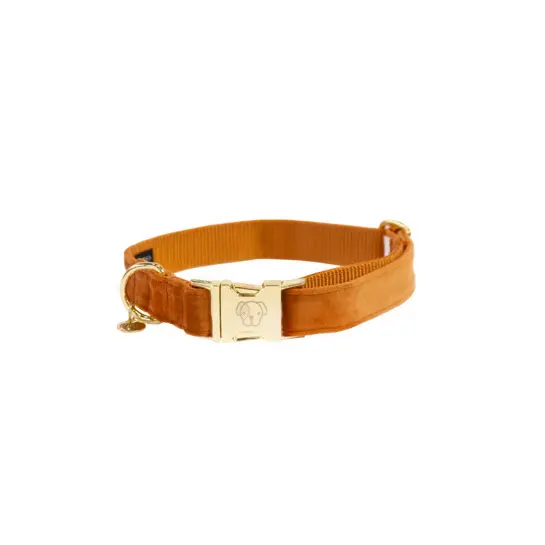 Dog collar Kentucky Velvet