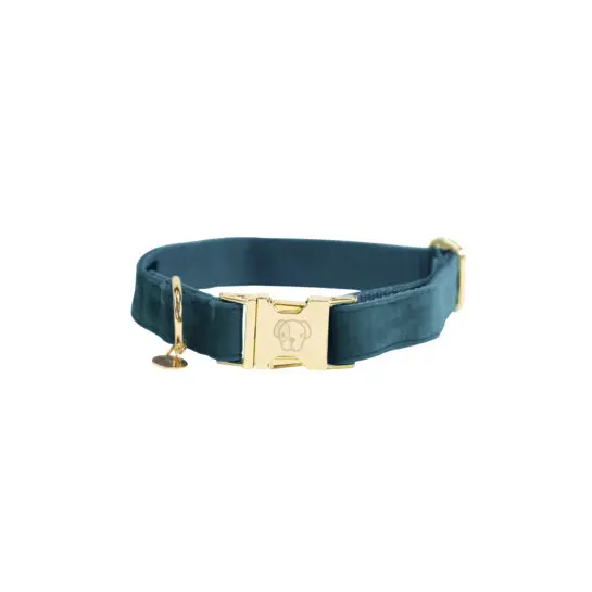 Dog collar Kentucky Velvet