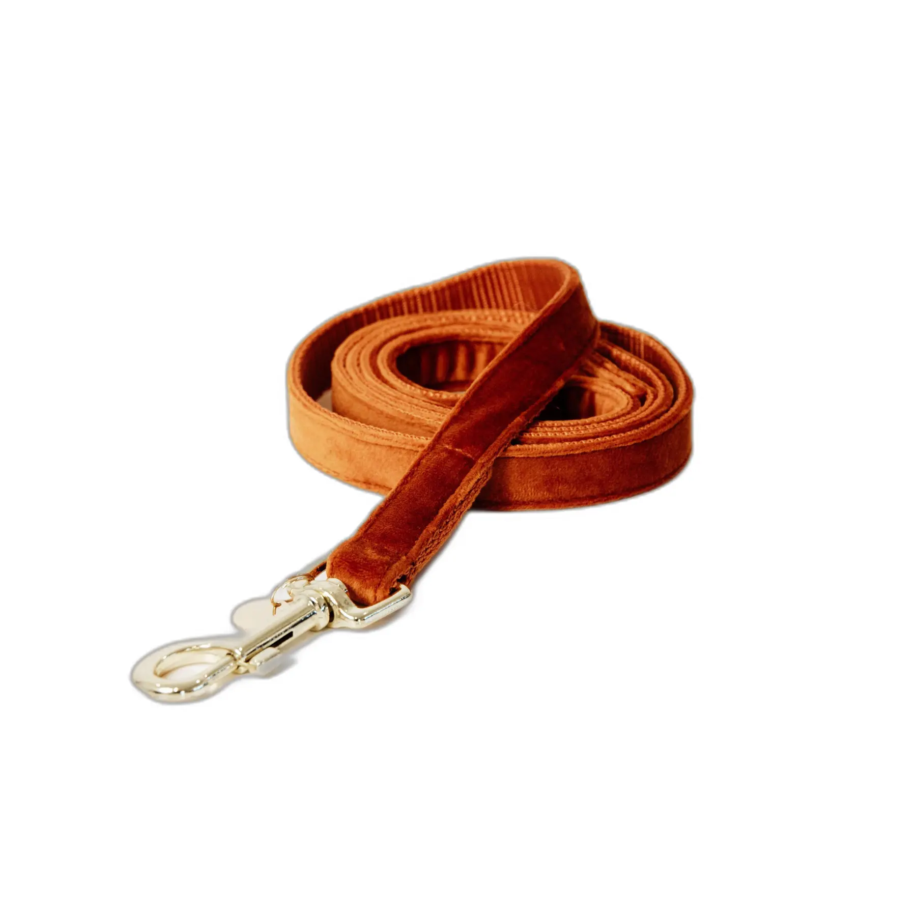 Guinzaglio per cane Kentucky Velvet 120 cm