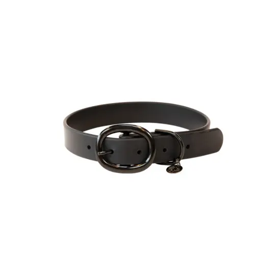 Rubber dog collar Kentucky