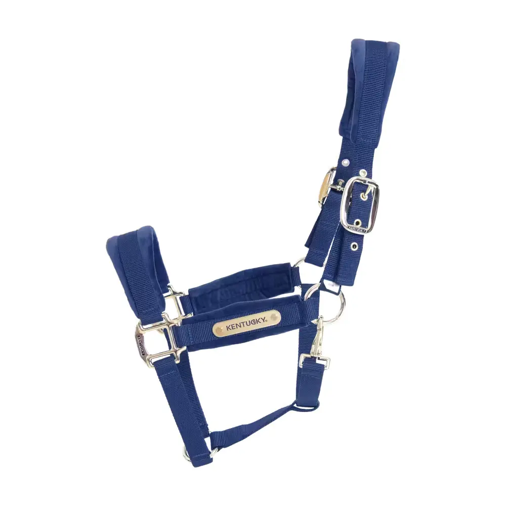 Halter for horse Kentucky Velvet