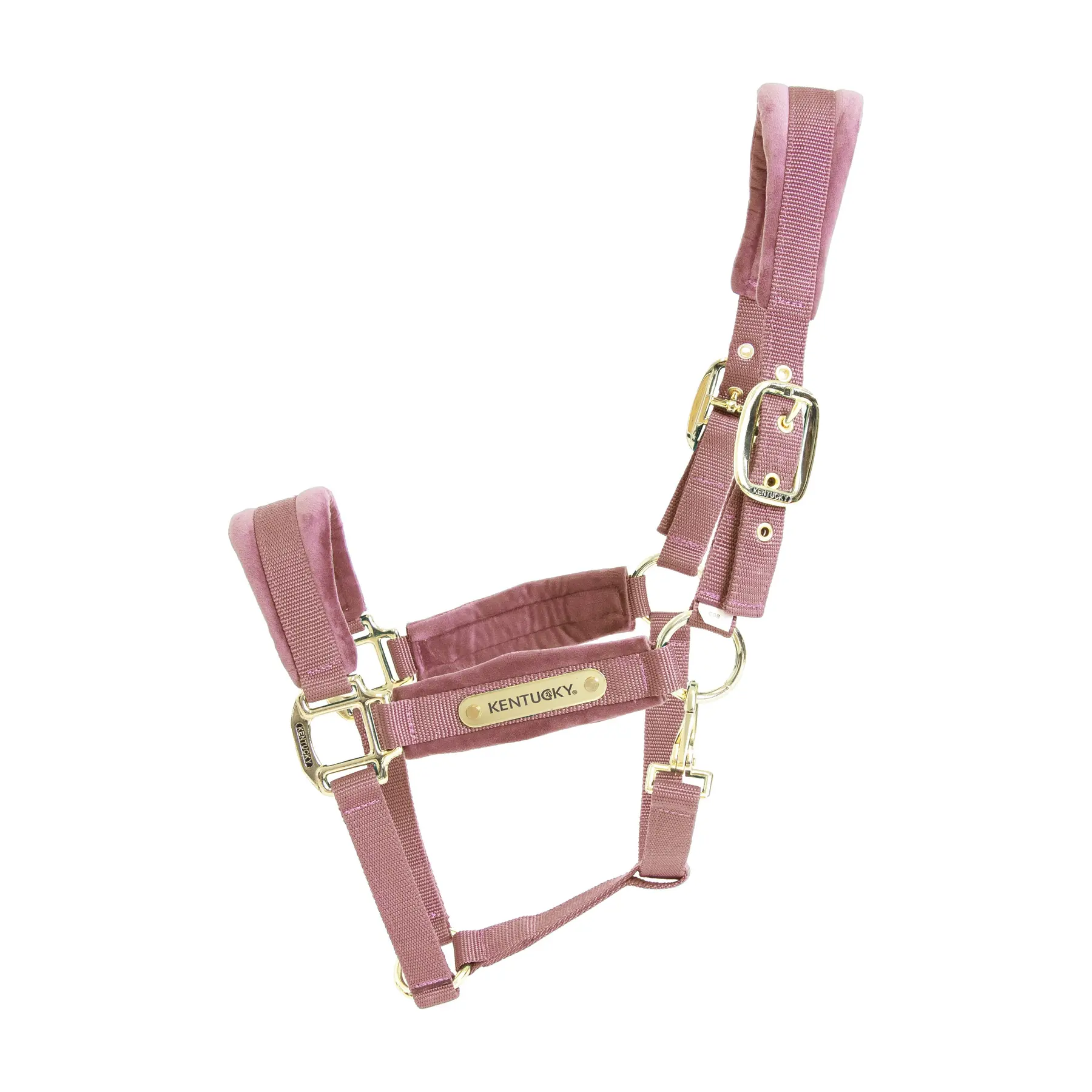 Velvet halter Kentucky