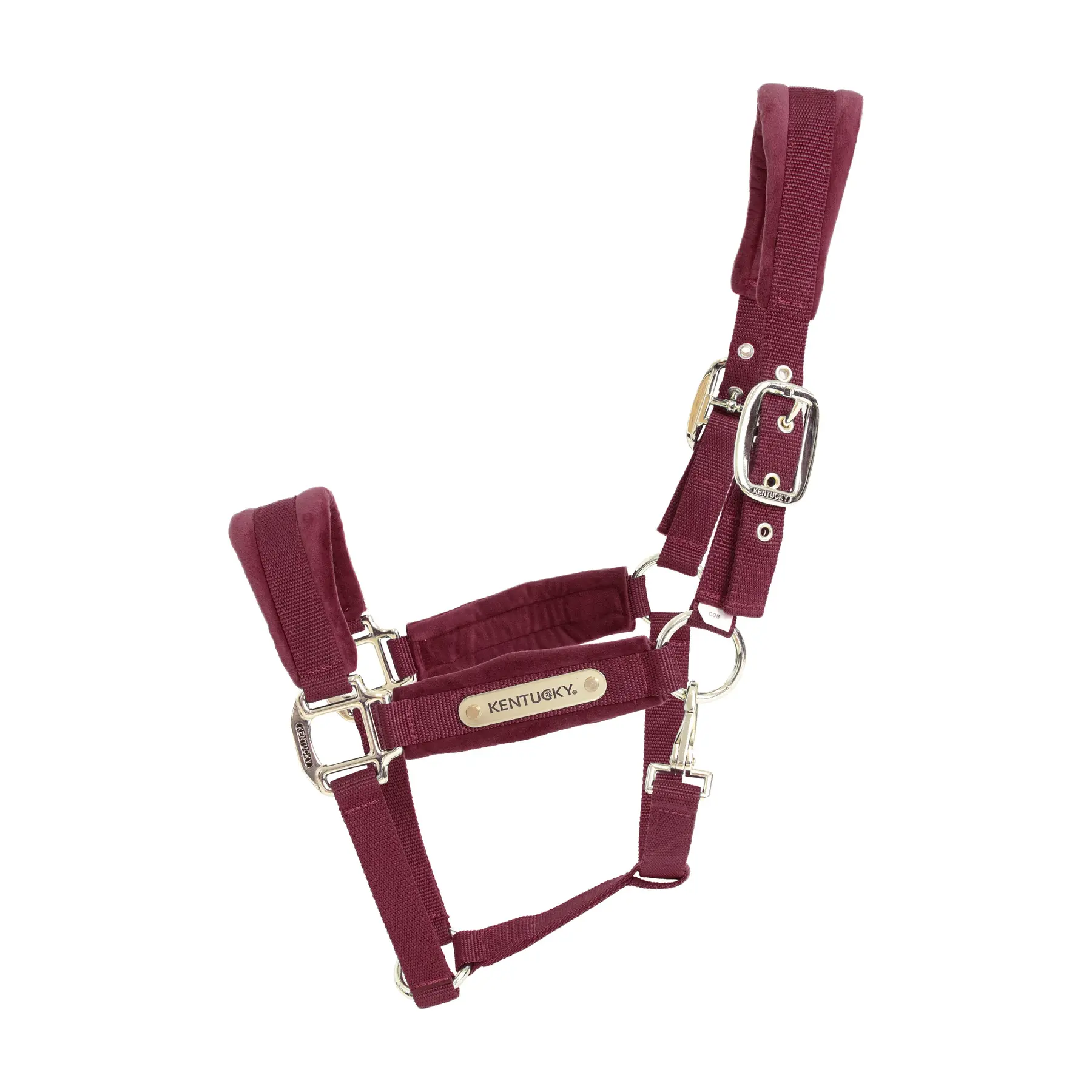 Velvet halter Kentucky