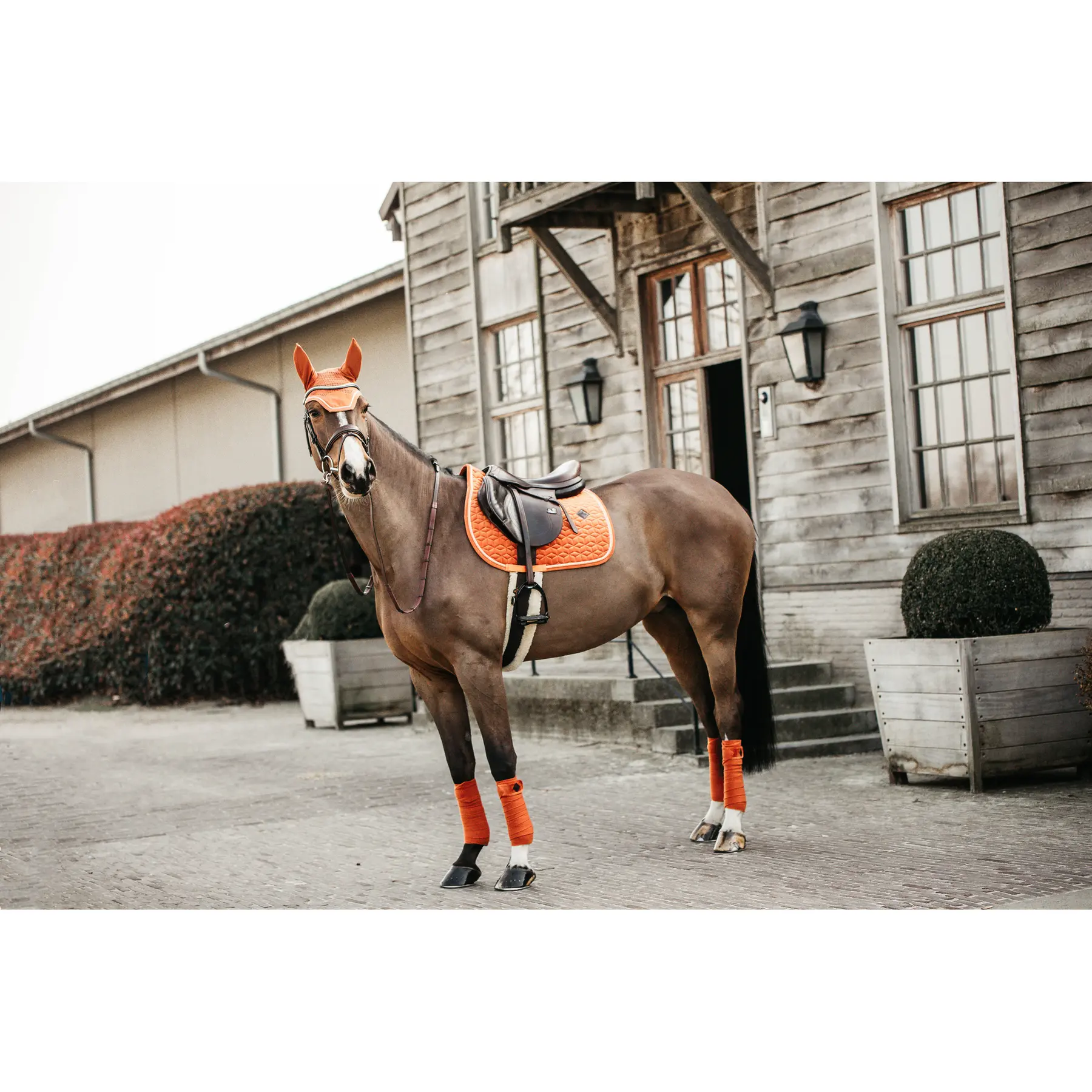 Saddle pad for horses Kentucky Velvet