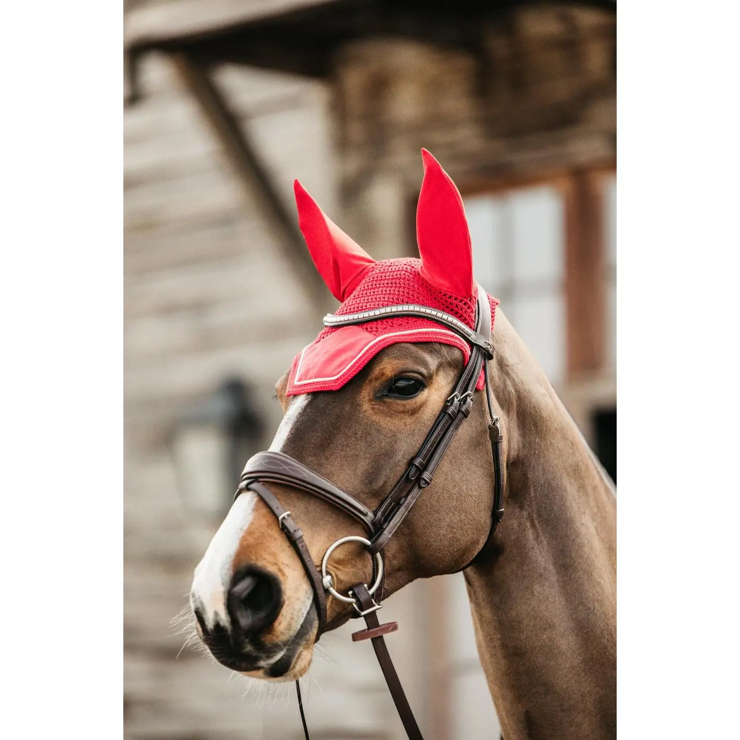Horse hat Kentucky Wellington Velvet