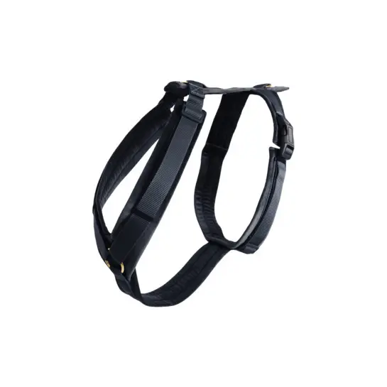 Active dog harness Kentucky Velvet