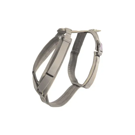 Active dog harness Kentucky Velvet