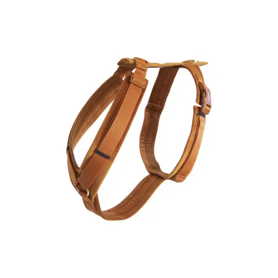 Aktives Hundegeschirr Kentucky Velvet