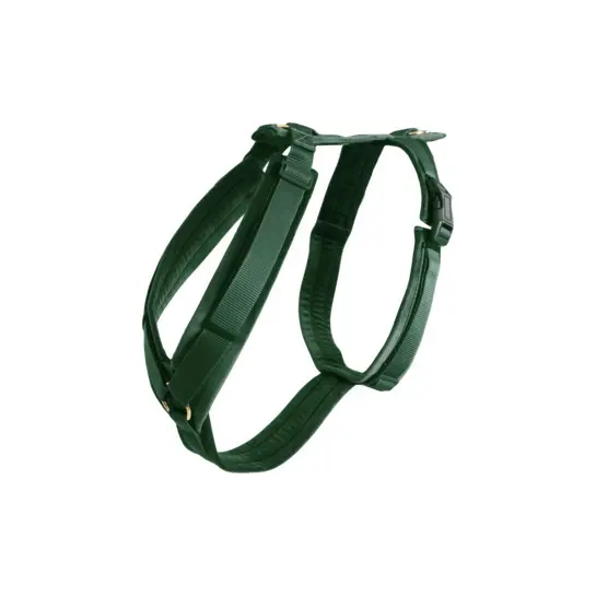 Active dog harness Kentucky Velvet