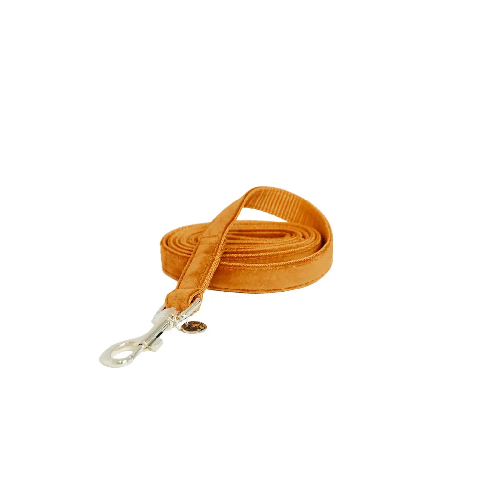 Guinzaglio per cani Kentucky Velvet