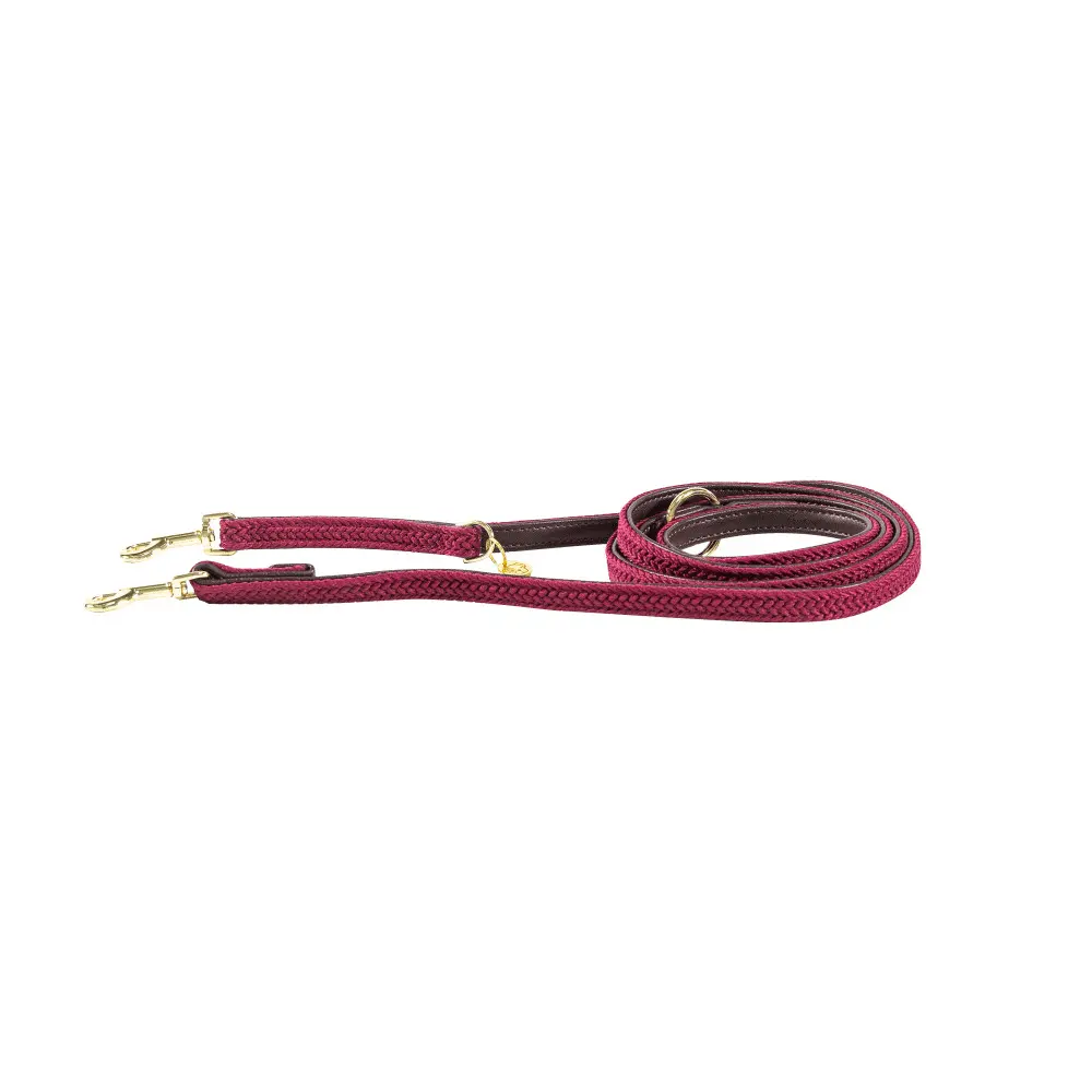 Nylon braided dog leash Kentucky 200 cm