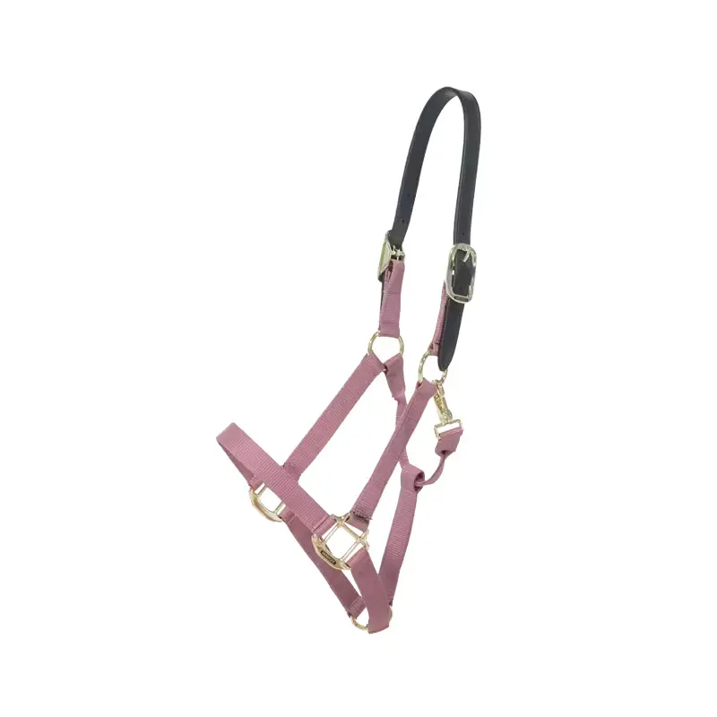 Nylon horse halter Kentucky Breakaway