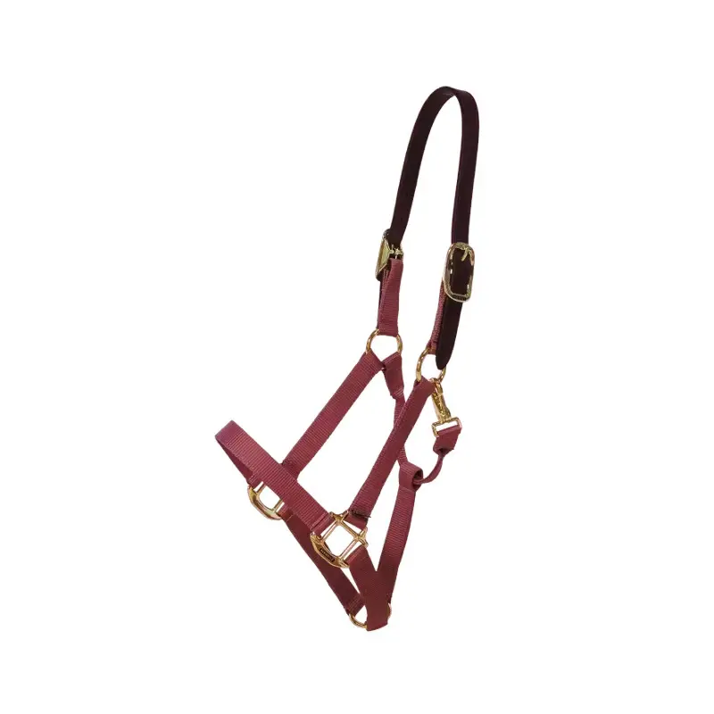 Nylon horse halter Kentucky Breakaway