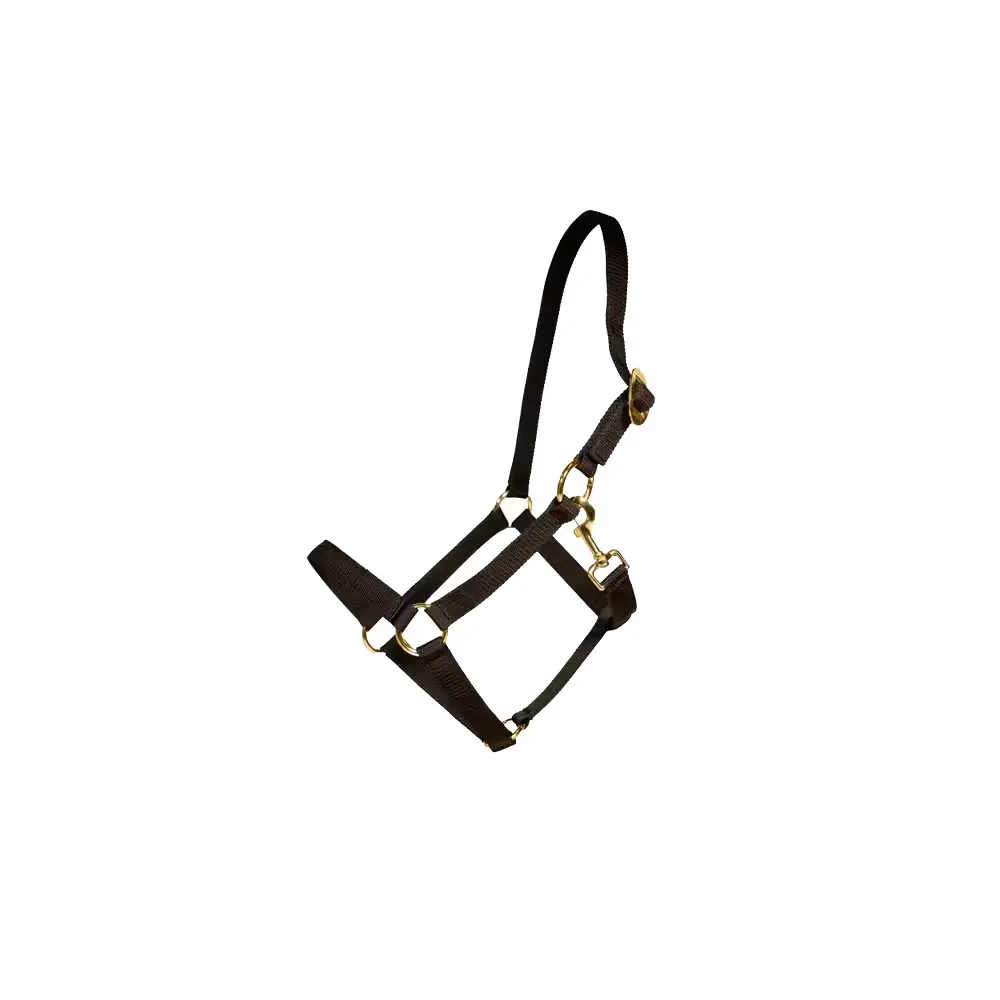 Nylon headcollar for horse Kentucky