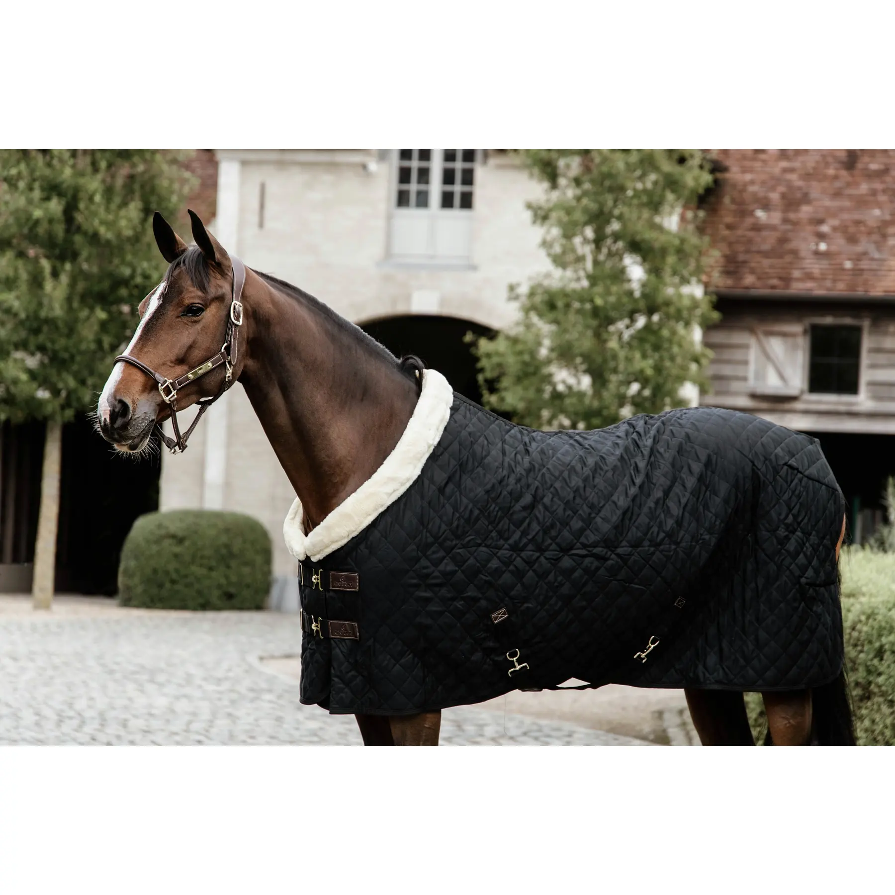 Coperta da box per cavalli di presentazione Kentucky 160 g
