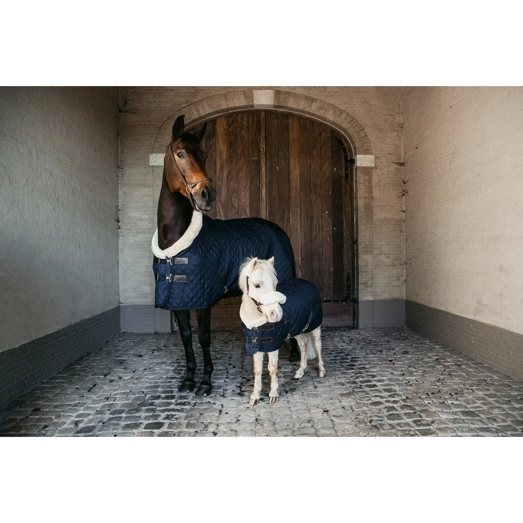 Coperta da box per cavalli di presentazione Kentucky 160 g
