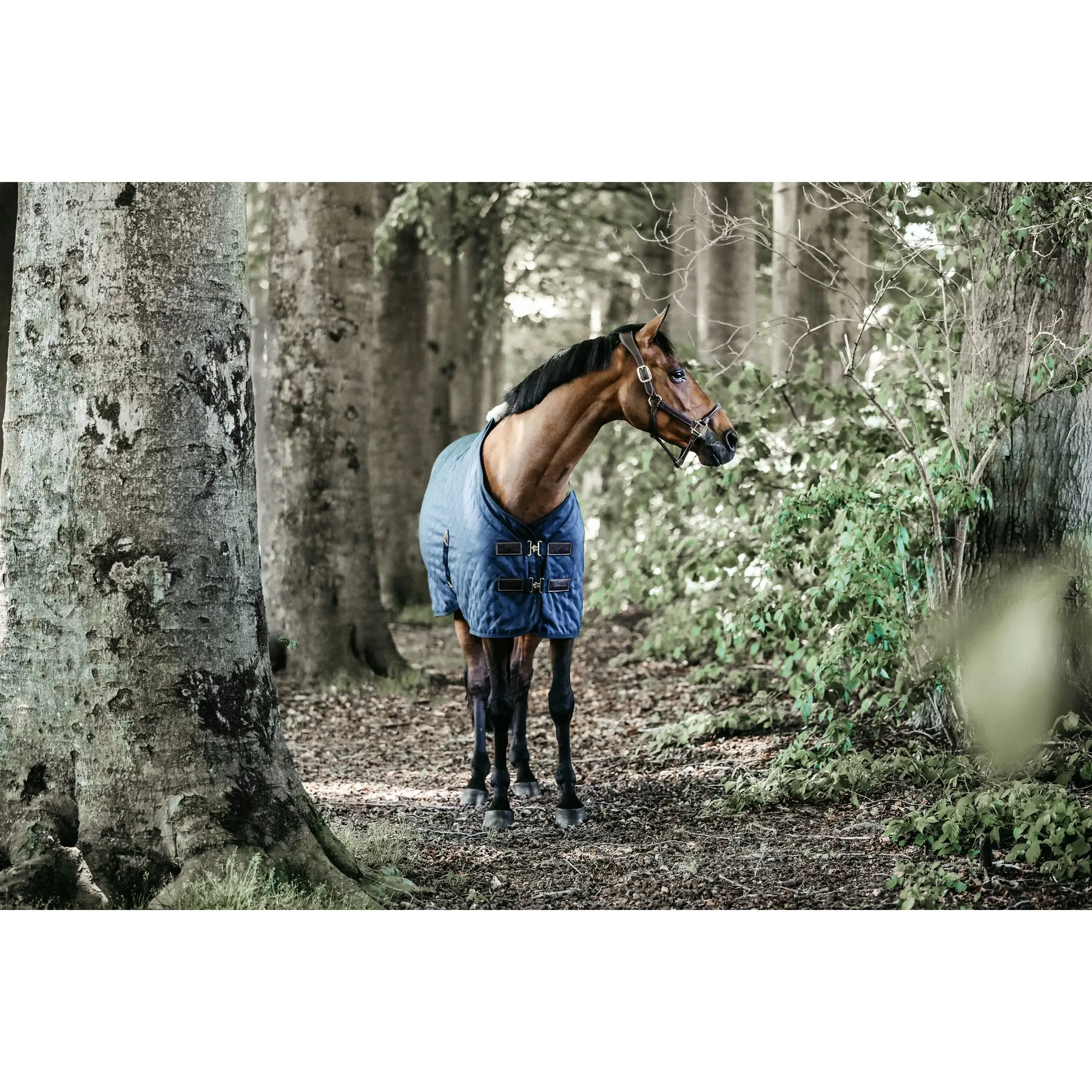 Stable cover Kentucky 0 g