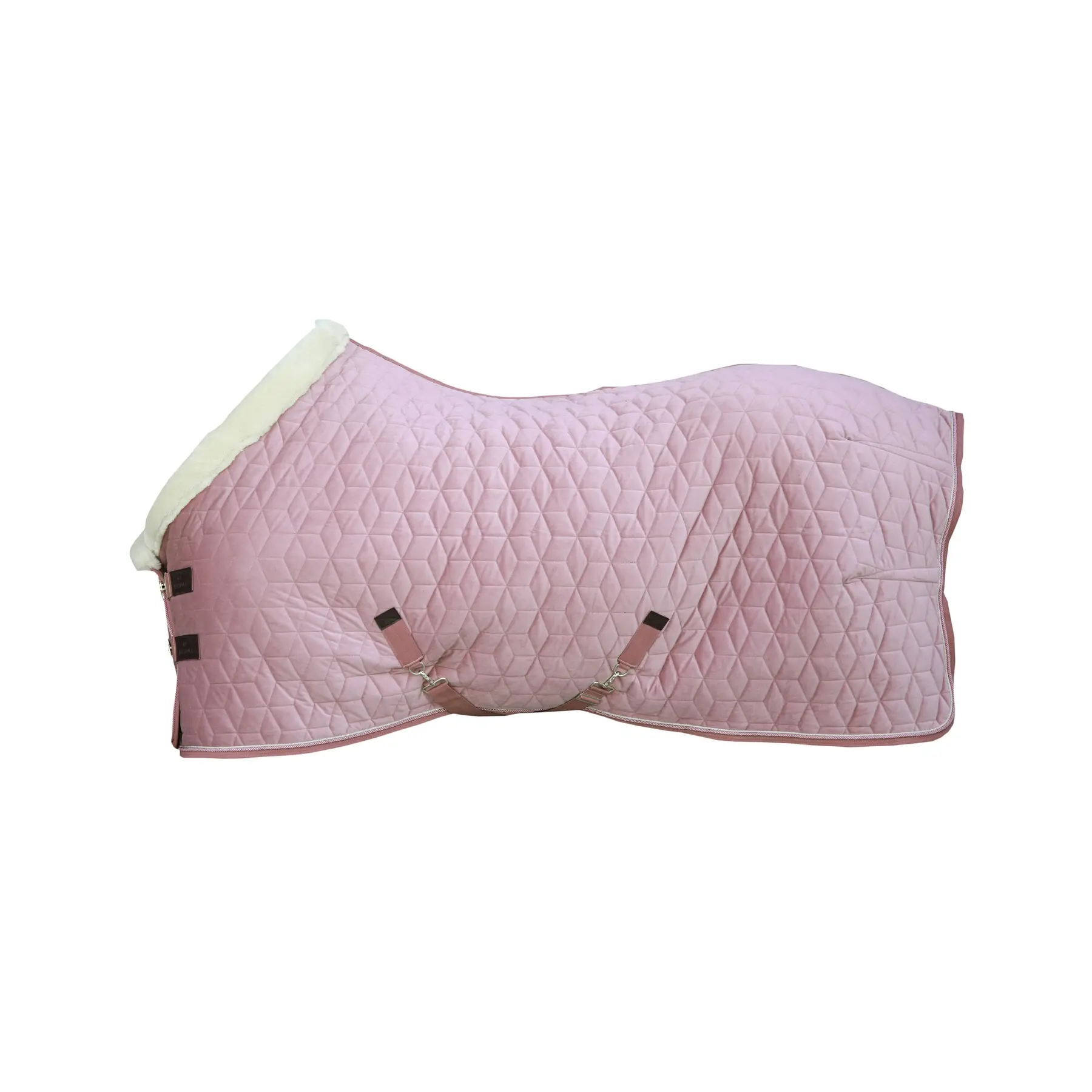 Coperta da stalla in velluto Kentucky 160g