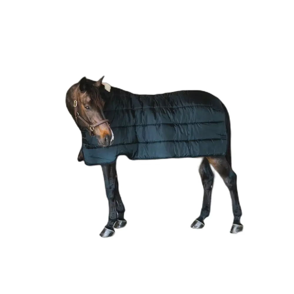 Outdoor Blanket Kentucky Pro 200g
