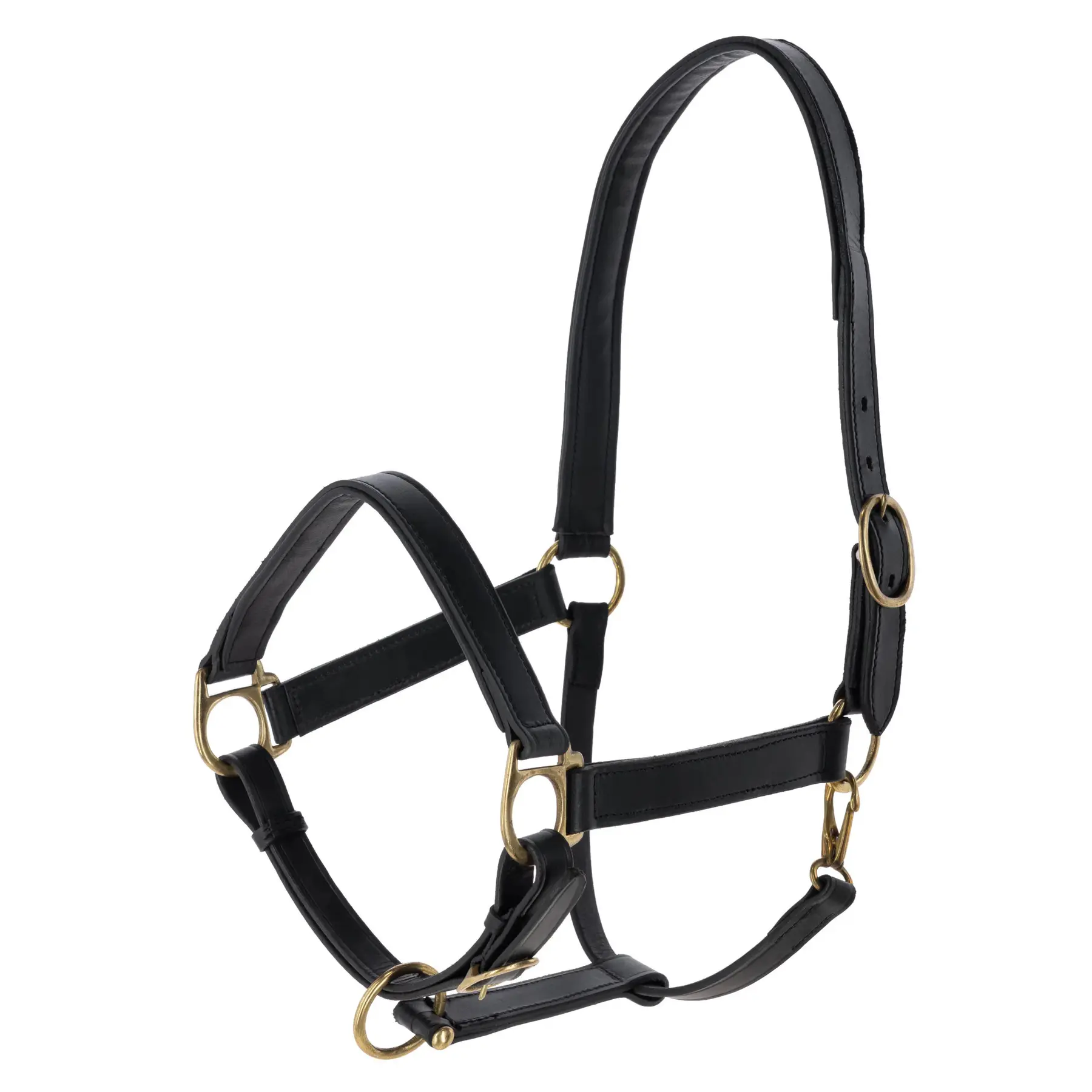 Leather halter for horses Kerbl Eco