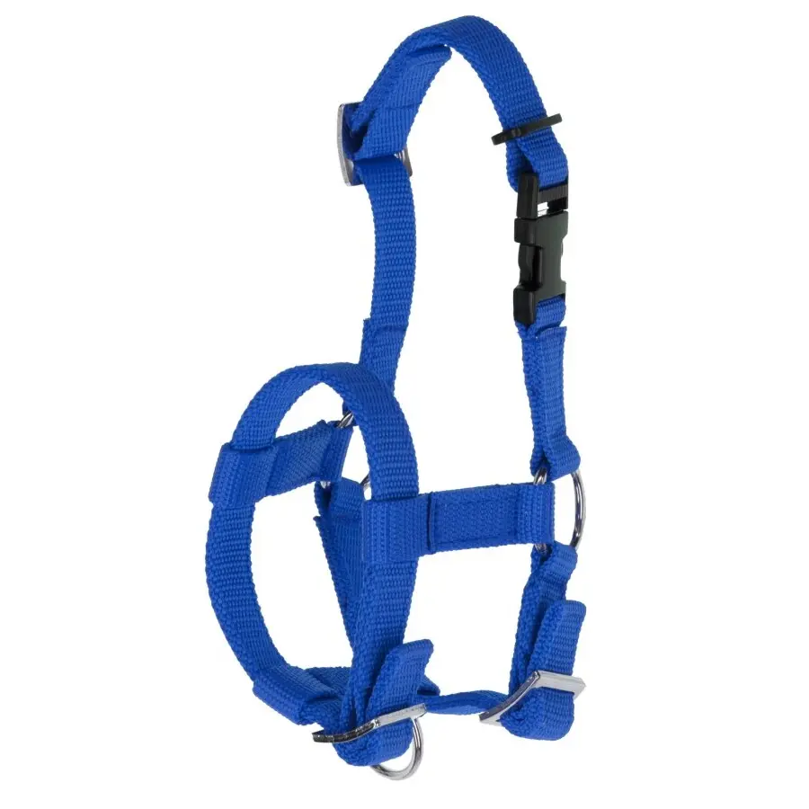 Halter for alpaca Kerbl
