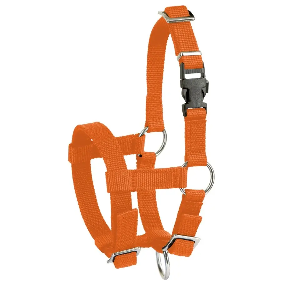 Halter for alpaca Kerbl