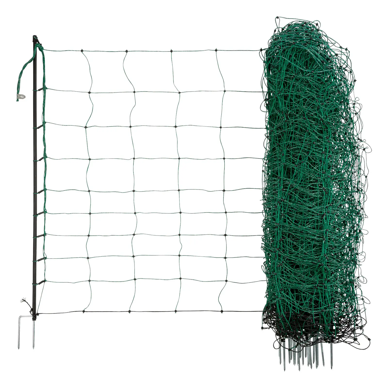 Double point net Kerbl OviNet
