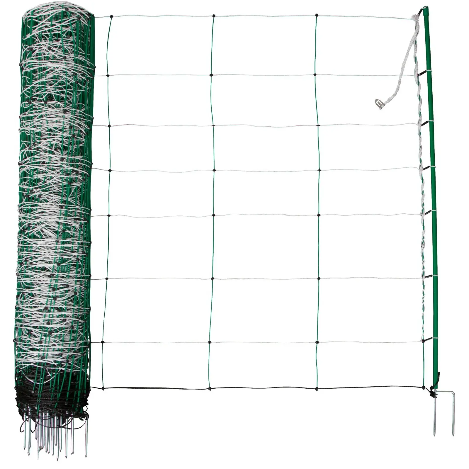 Single point net Kerbl Ako TitanNet