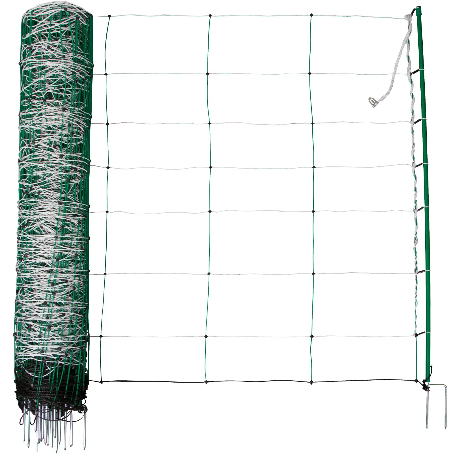 Double point net Kerbl Ako TitanNet