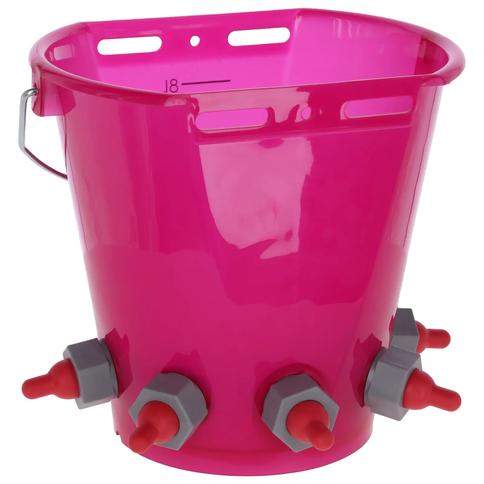 Transparent nursing trough for cattle / lambs with 5 teats Kerbl