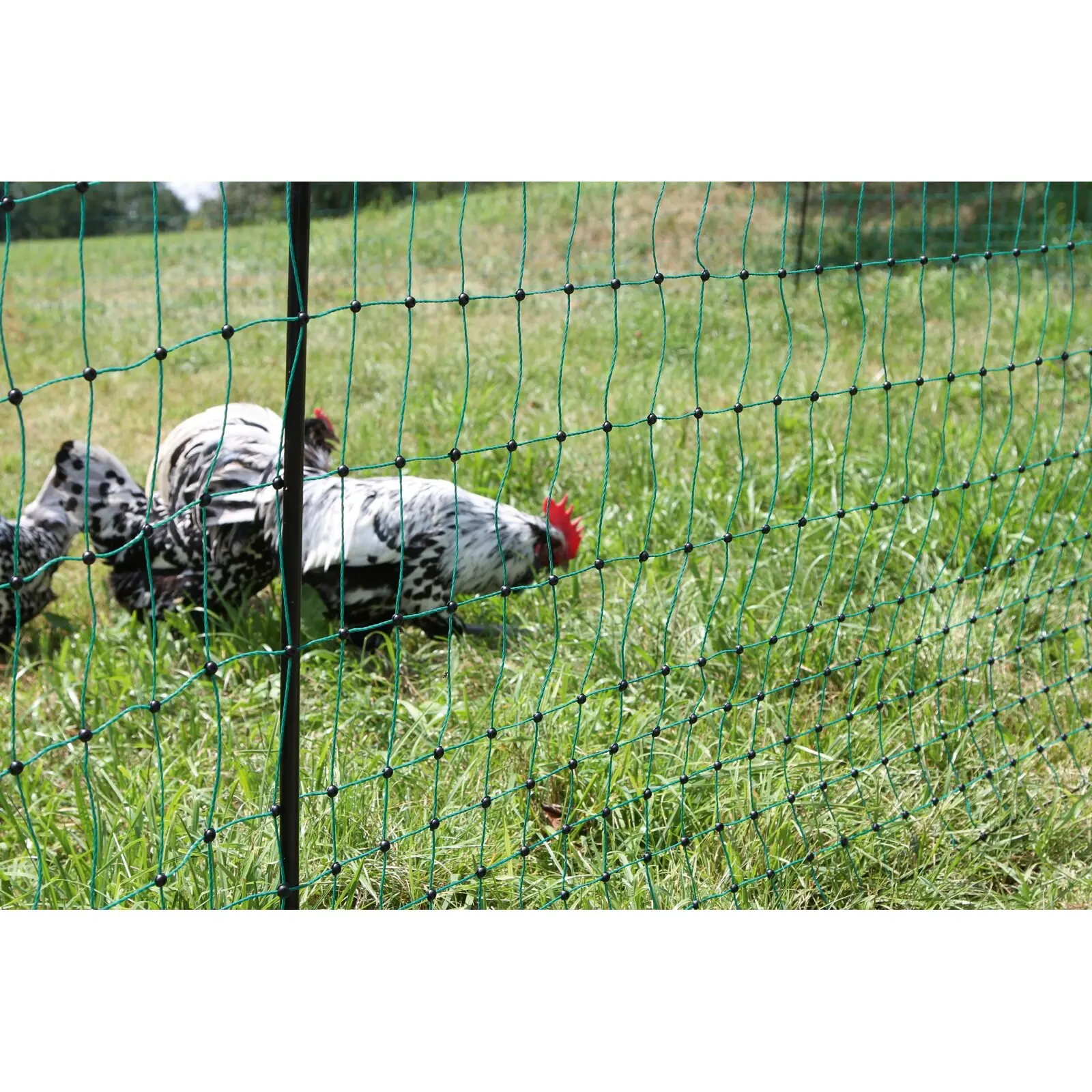 Double-point electrifiable poultry fencing net Kerbl