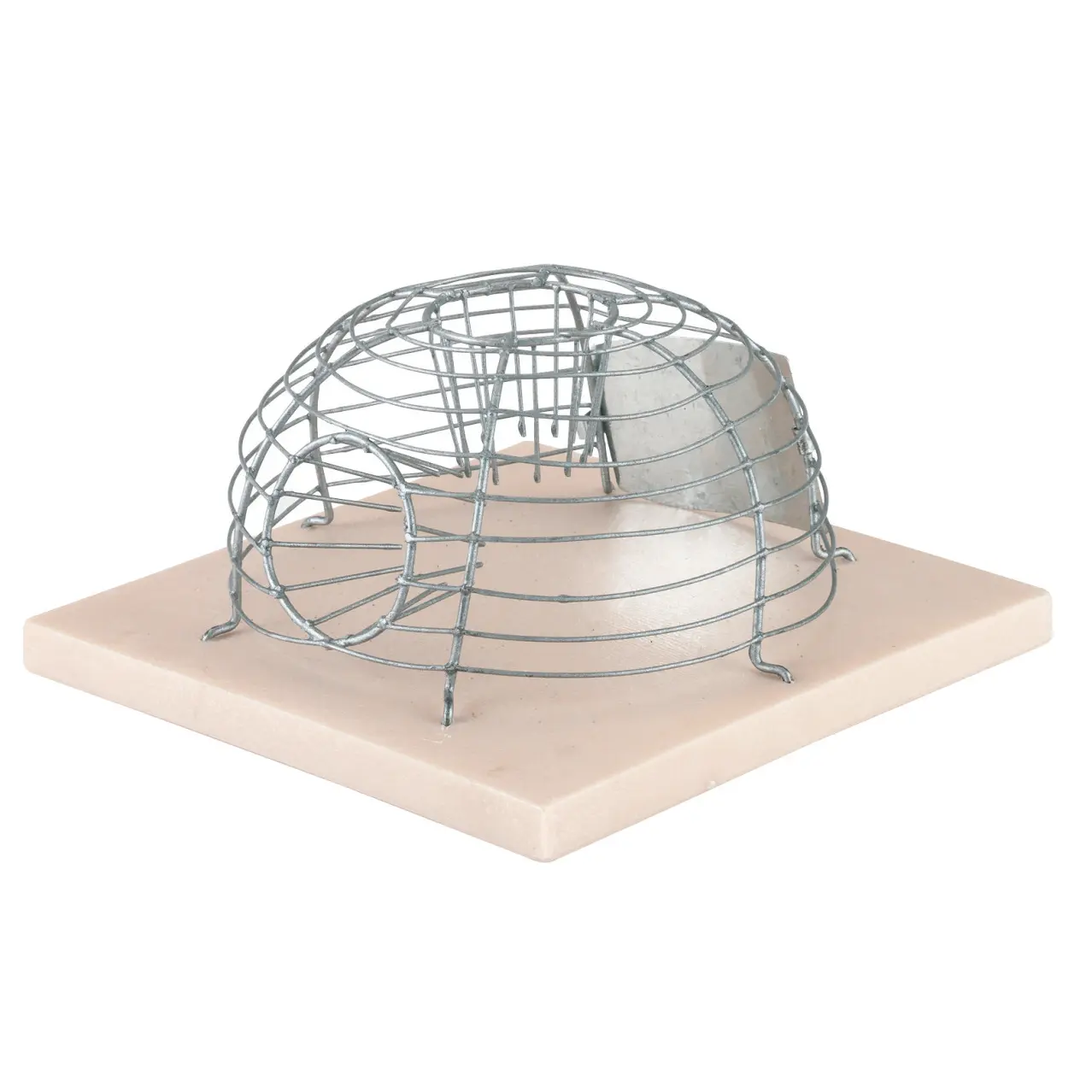 Mouse trap basket Kerbl Alive