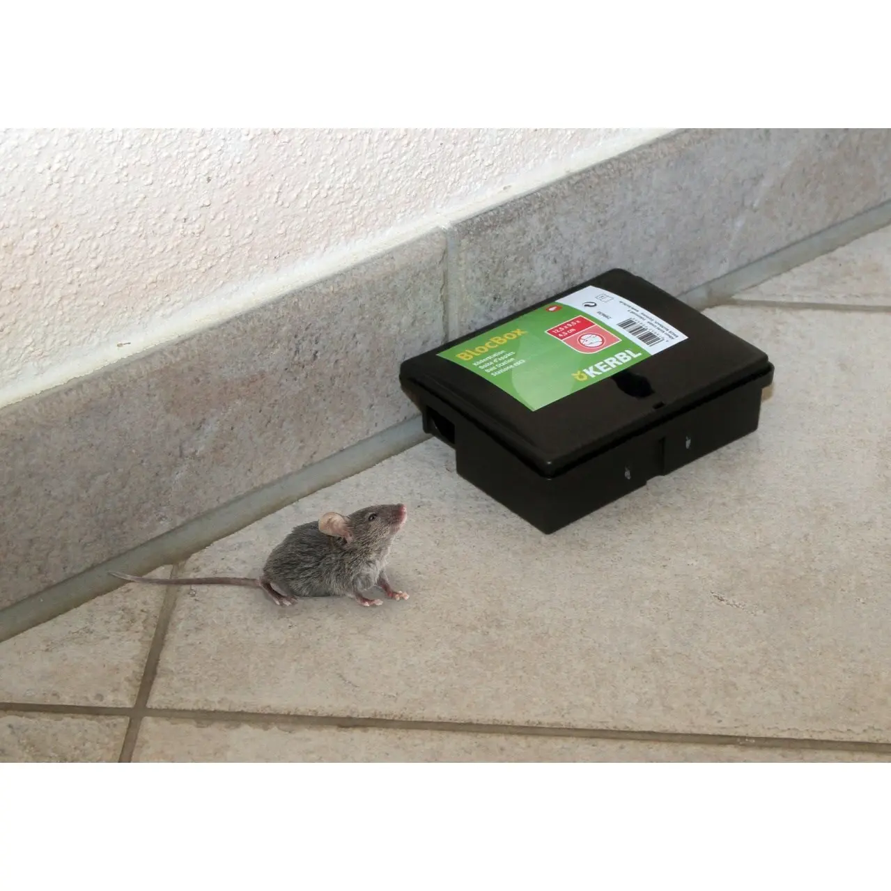 Mouse trap pvc Kerbl BlocBox Peti