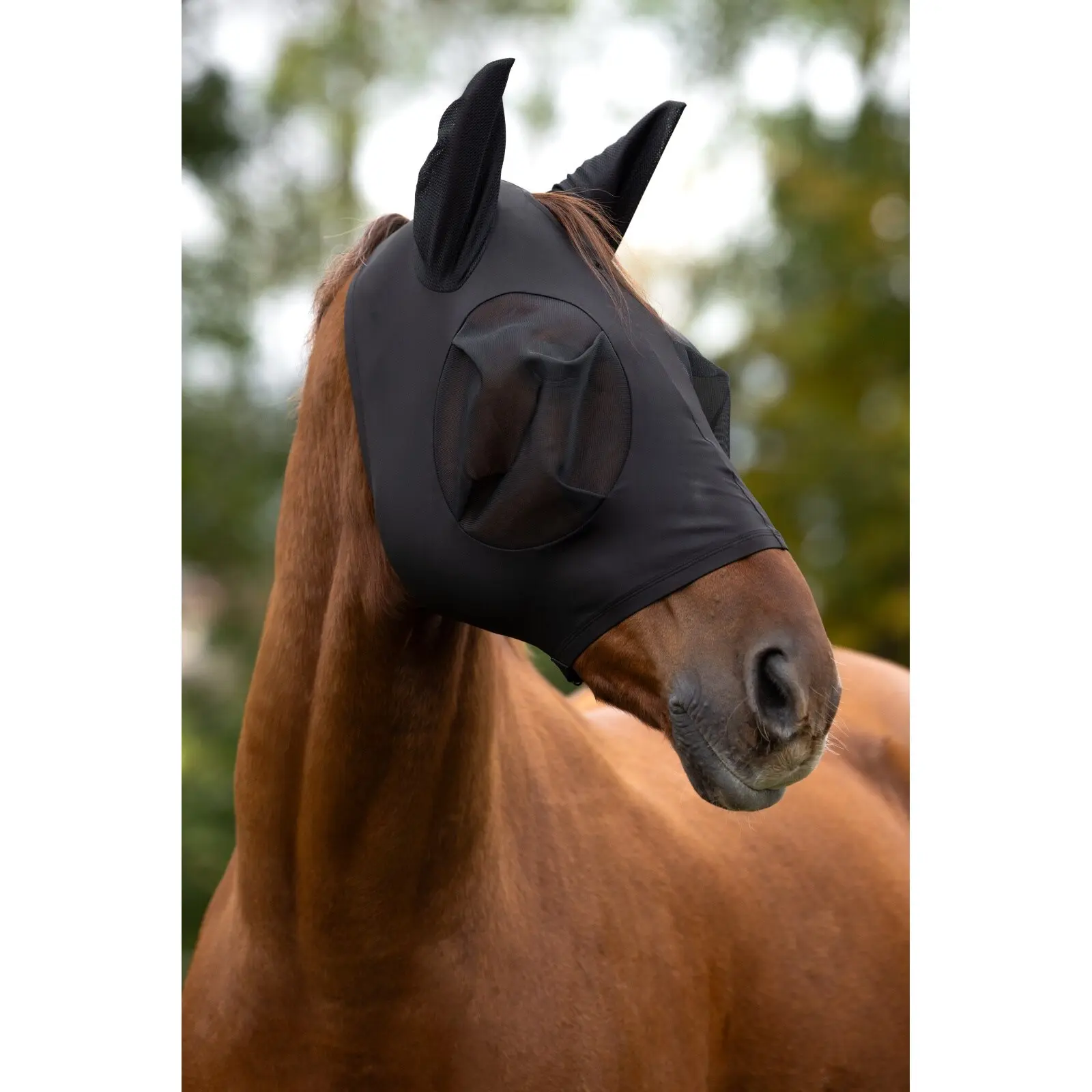 Anti-fly Mask Covalliero FinoStretch