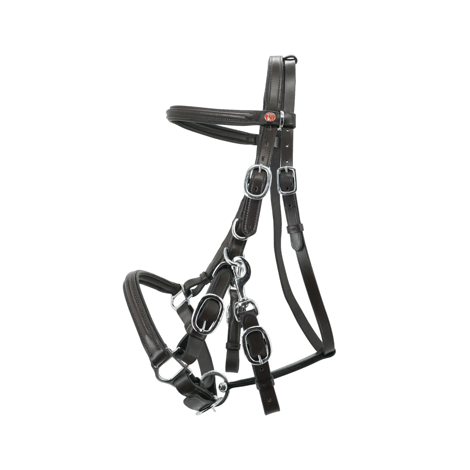 Riding bridle Kieffer Trail with chrome fittings