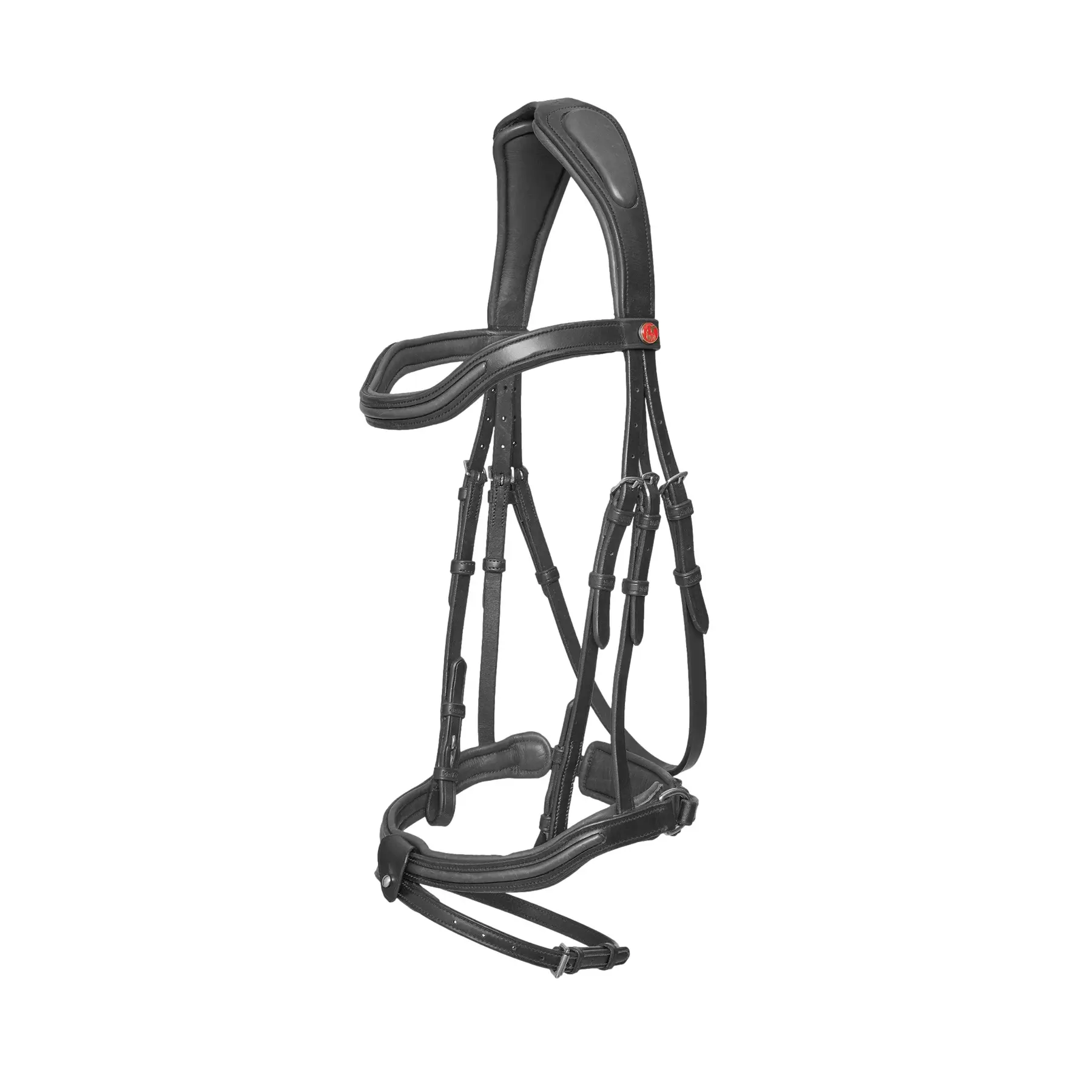 Trense Kieffer Palmanova with square chrome buckles