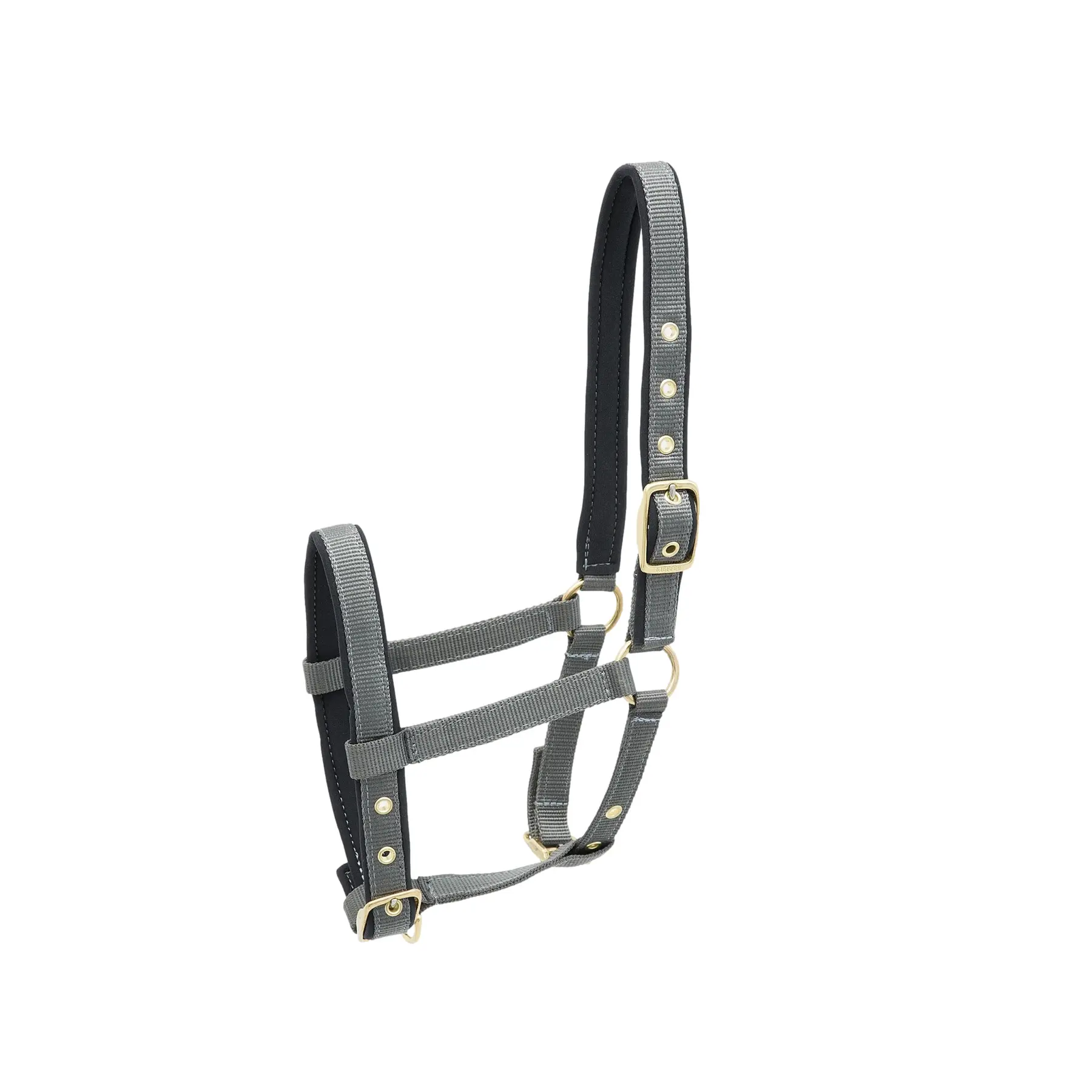 Nylon headcollar for horse Kieffer