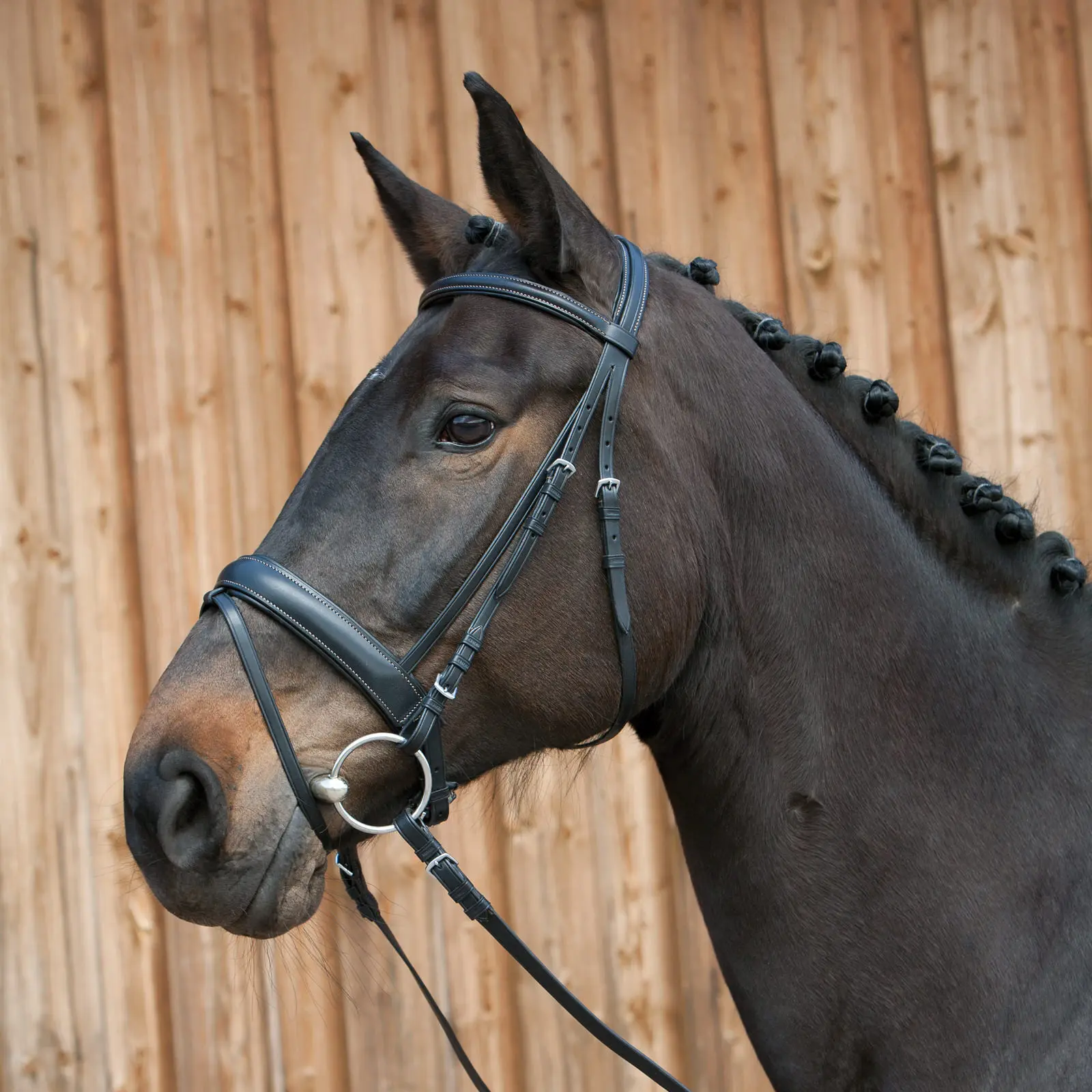 Riding Bridle + Noseband Kieffer Ergonomic Line III