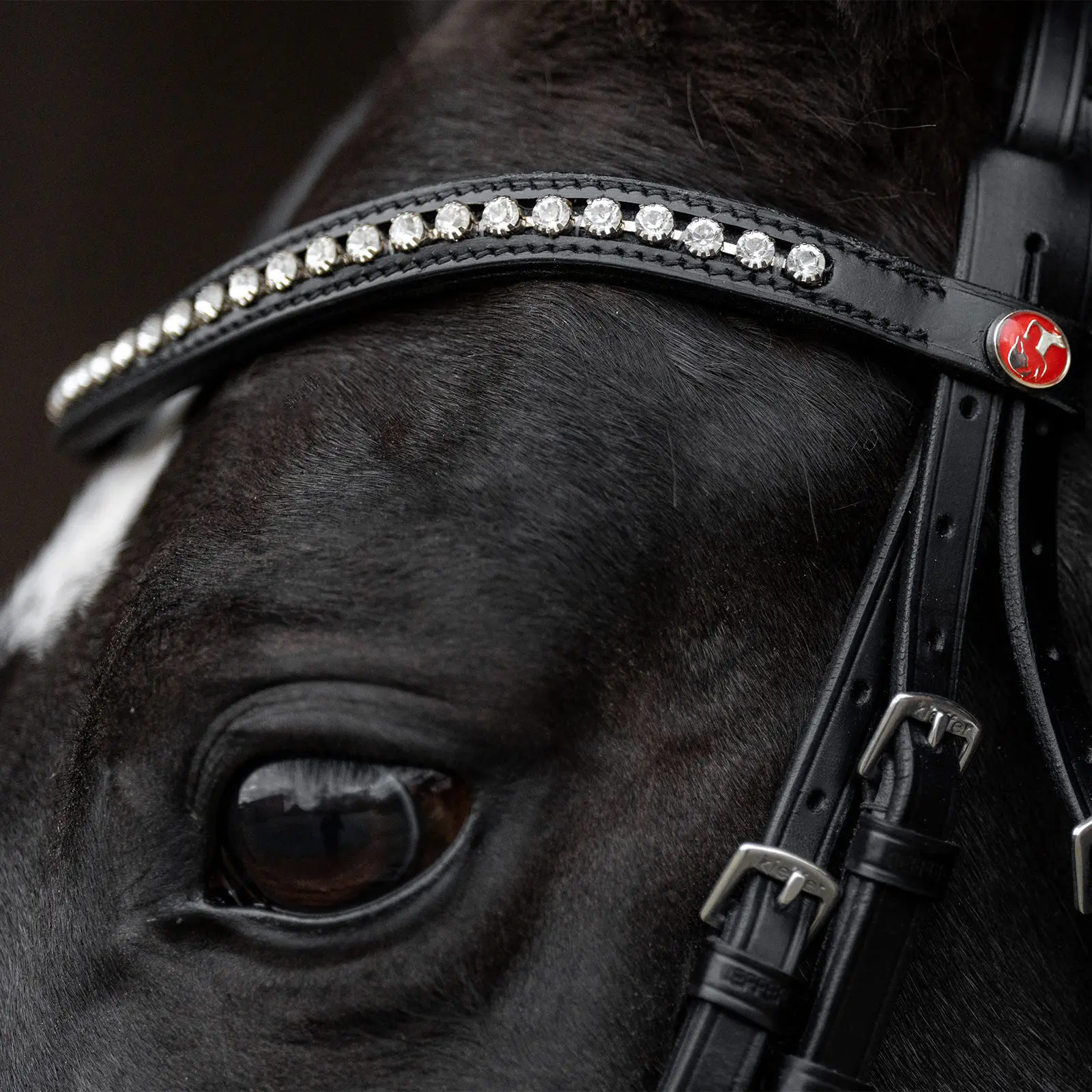Riding Bridle + Noseband Kieffer Comfort Paris
