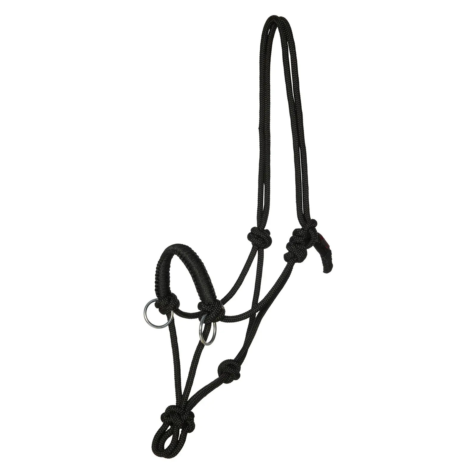 reins halter for horse Kieffer Ruby