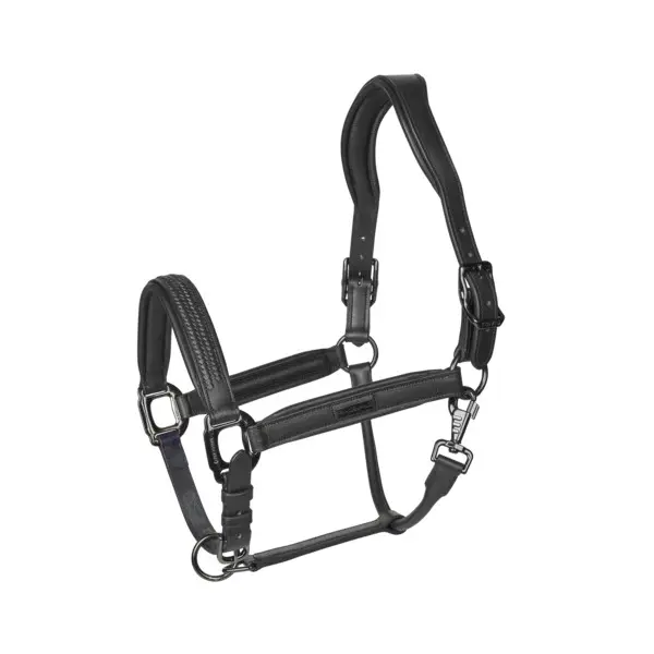 Leather halter for horses Kingsland Neville