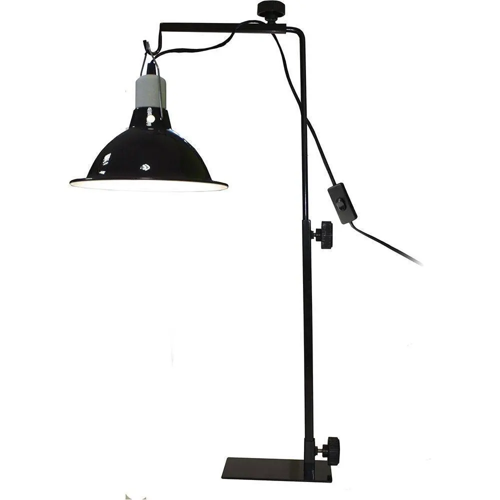 Lamp holder Komodo