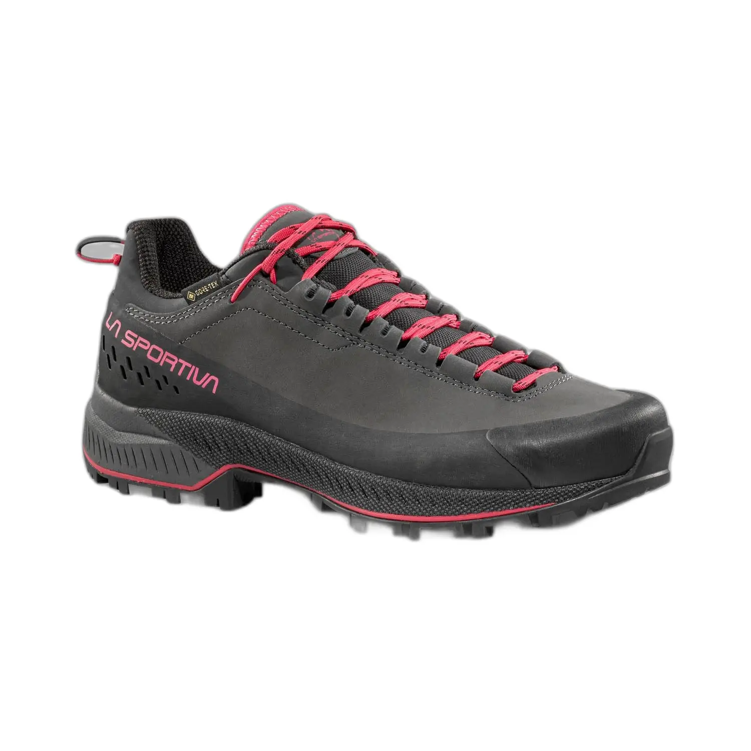 Wandel schoenen dames La Sportiva TX5 Evo GTX