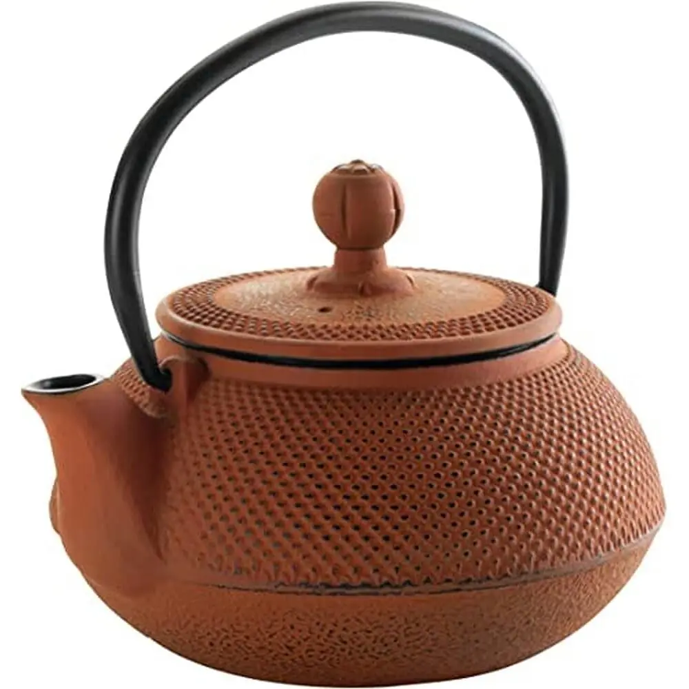 Fer fondu théière Lacor Fer fondu théière Lacor